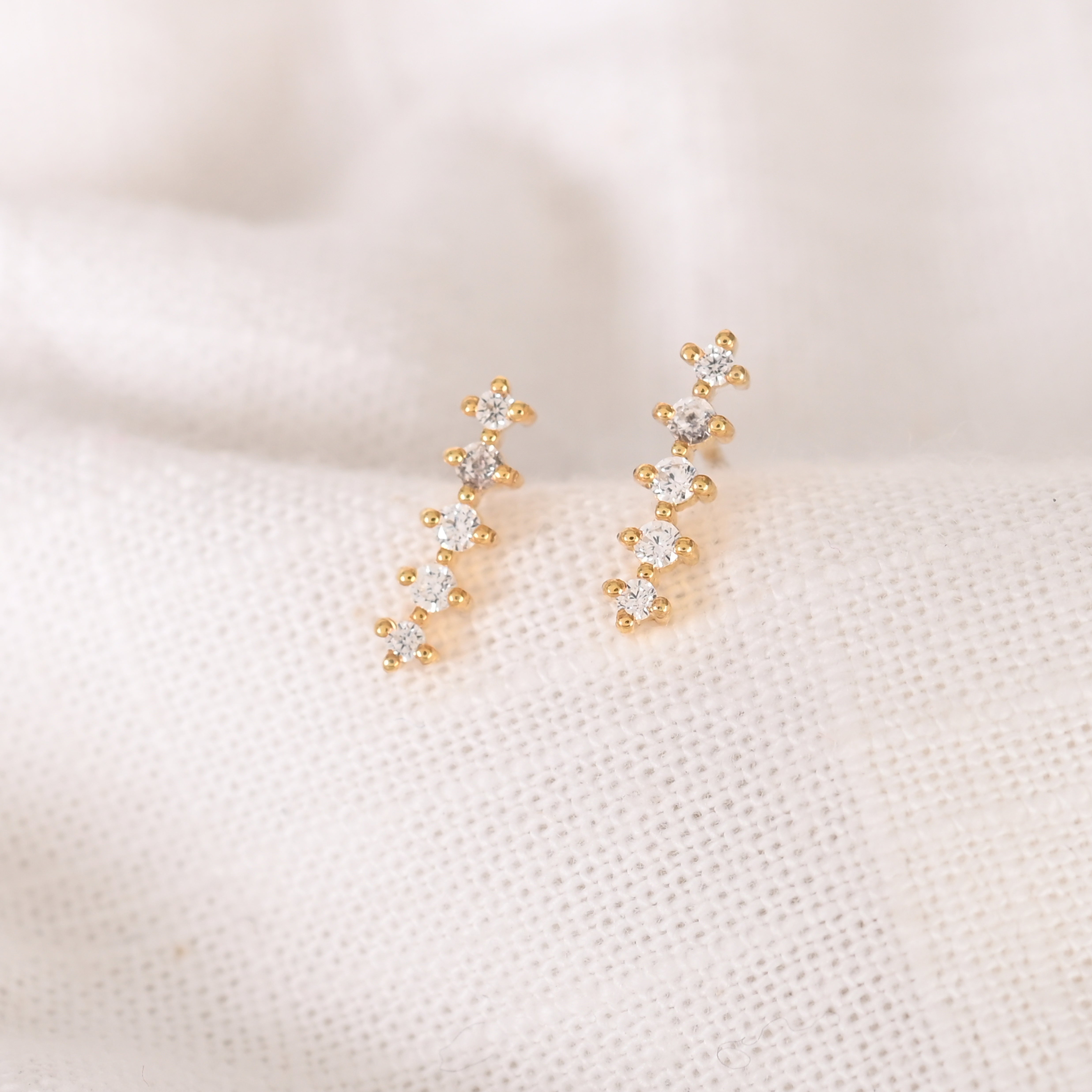 Yelana Silver Zircon Earrings